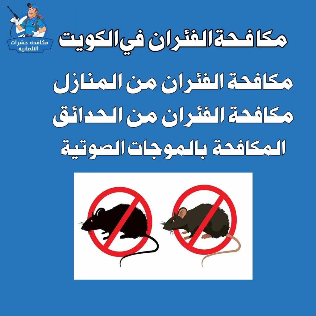 مكافحة الفئران في الكويت