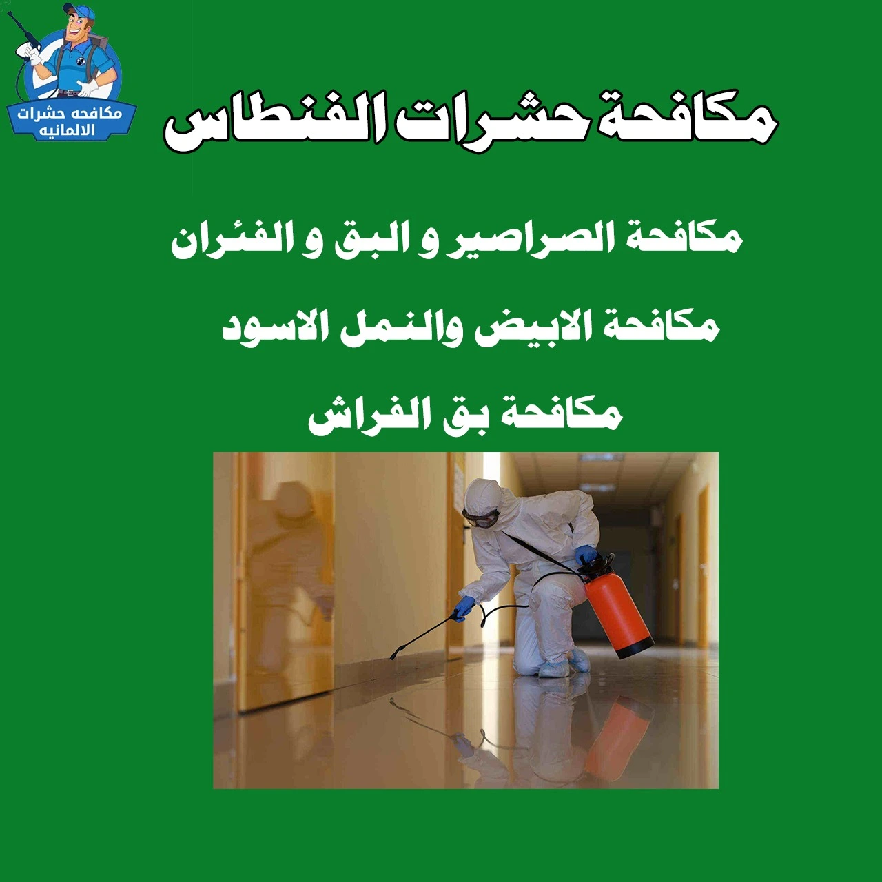 مكافحة حشرات الفنطاس