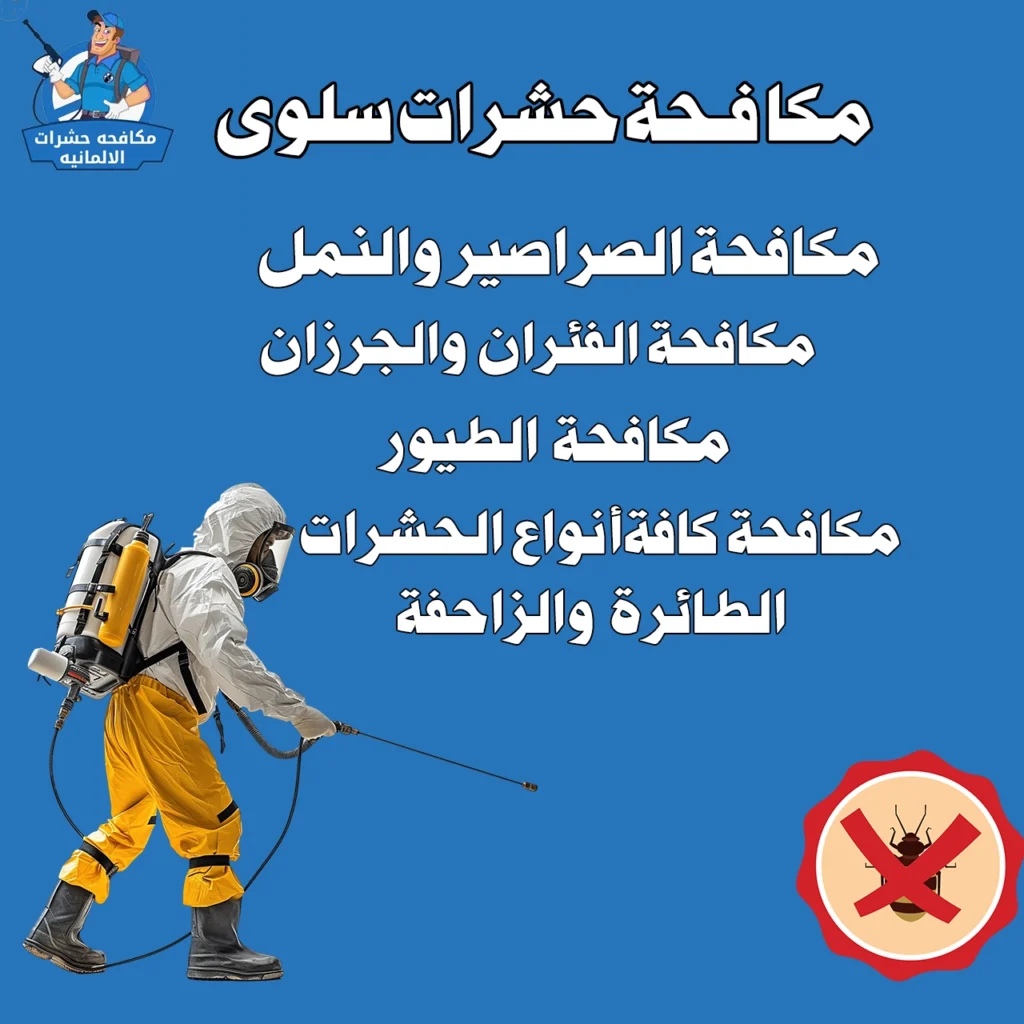 مكافحة حشرات سلوى