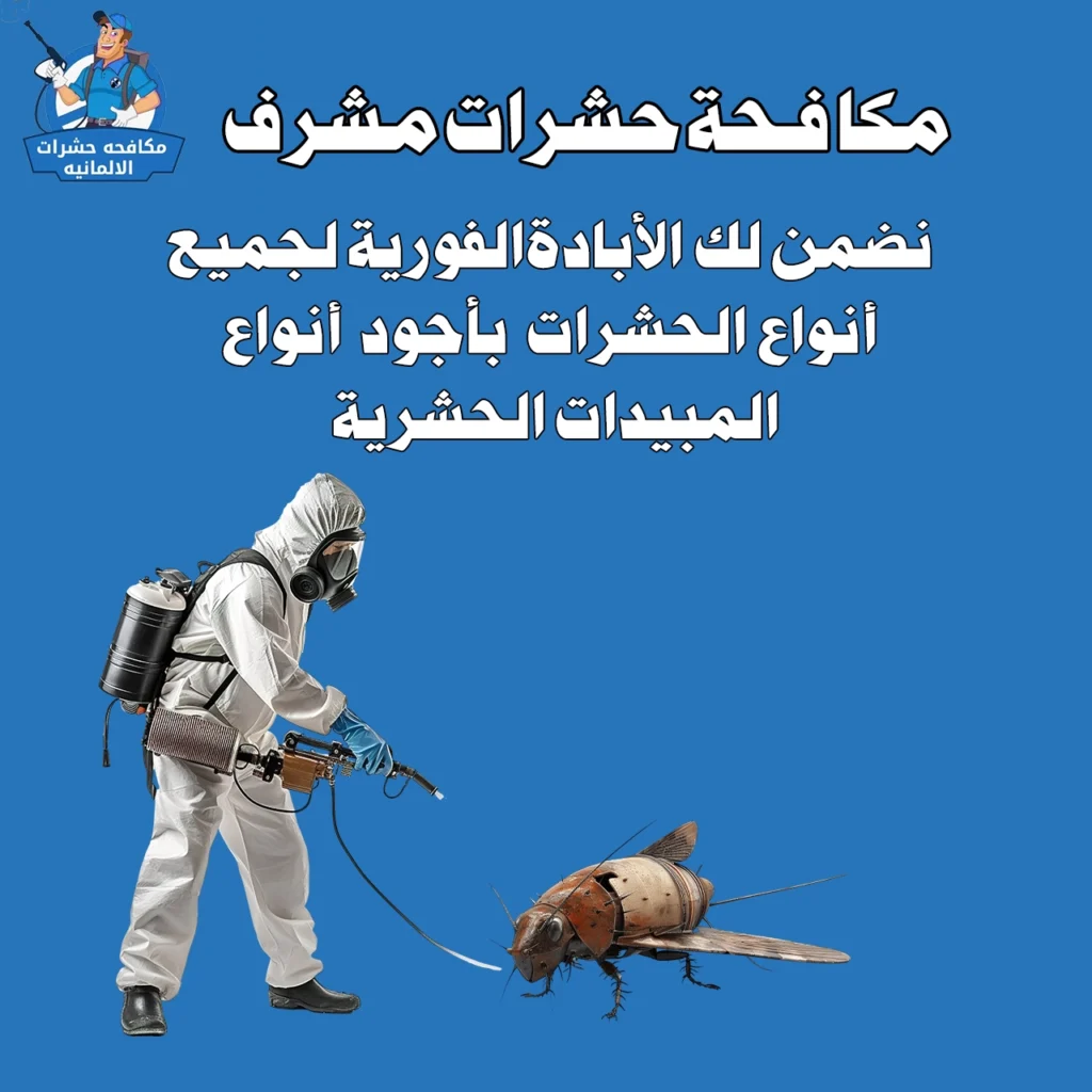 مكافحة حشرات مشرف