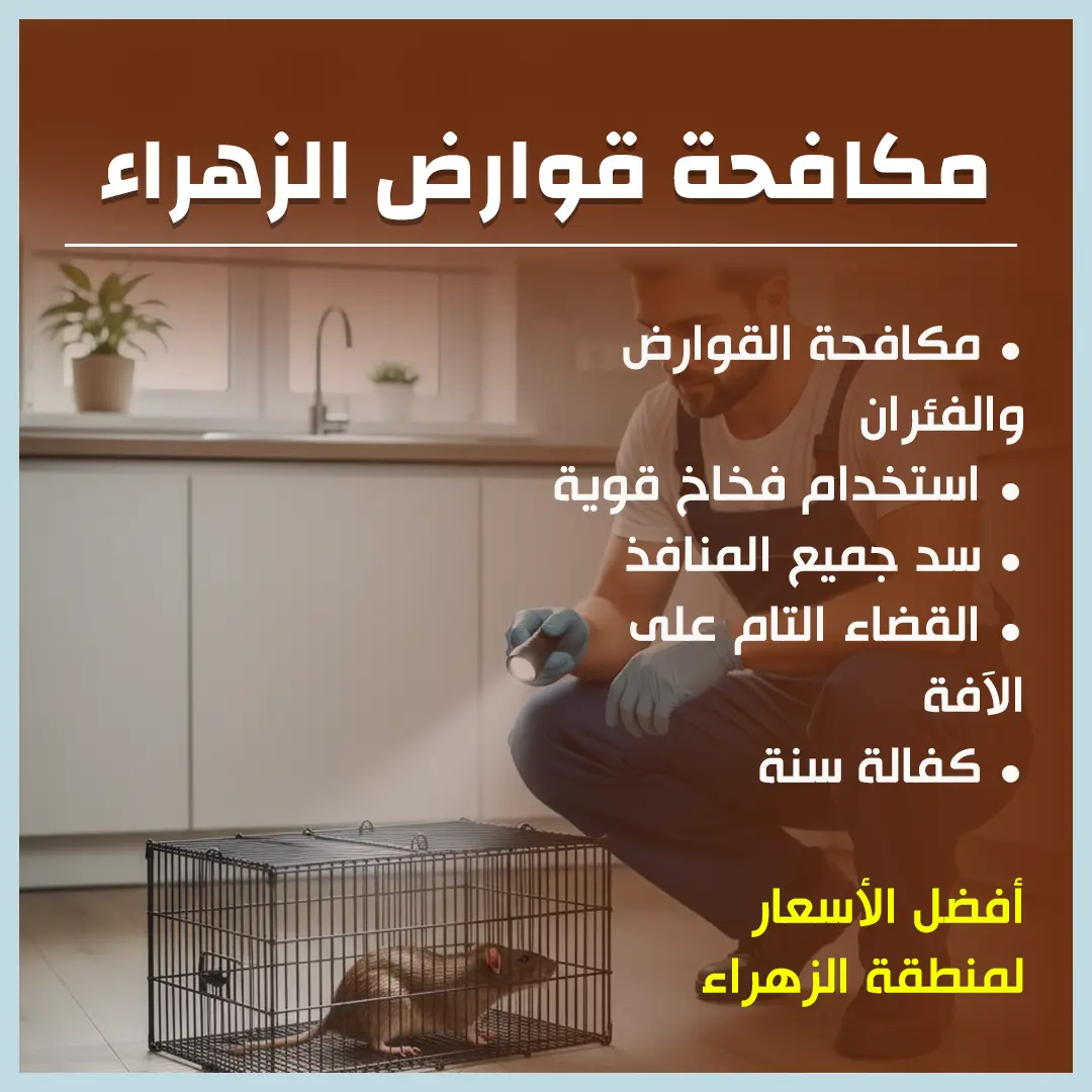 مكافحة قوارض الزهراء 60011440📞| خدمة احترافية + كفالة سنة