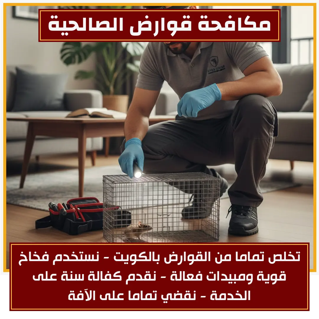 مكافحة قوارض الصالحية 60011440📞| القضاءعلى القوارض بالكويت