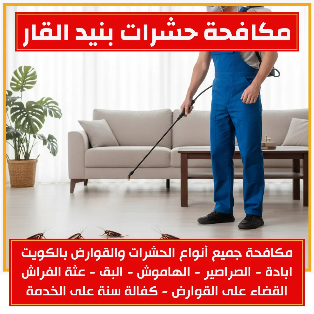 مكافحة حشرات بنيد القار 60011440📞| رش بدون مغادرة المنزل