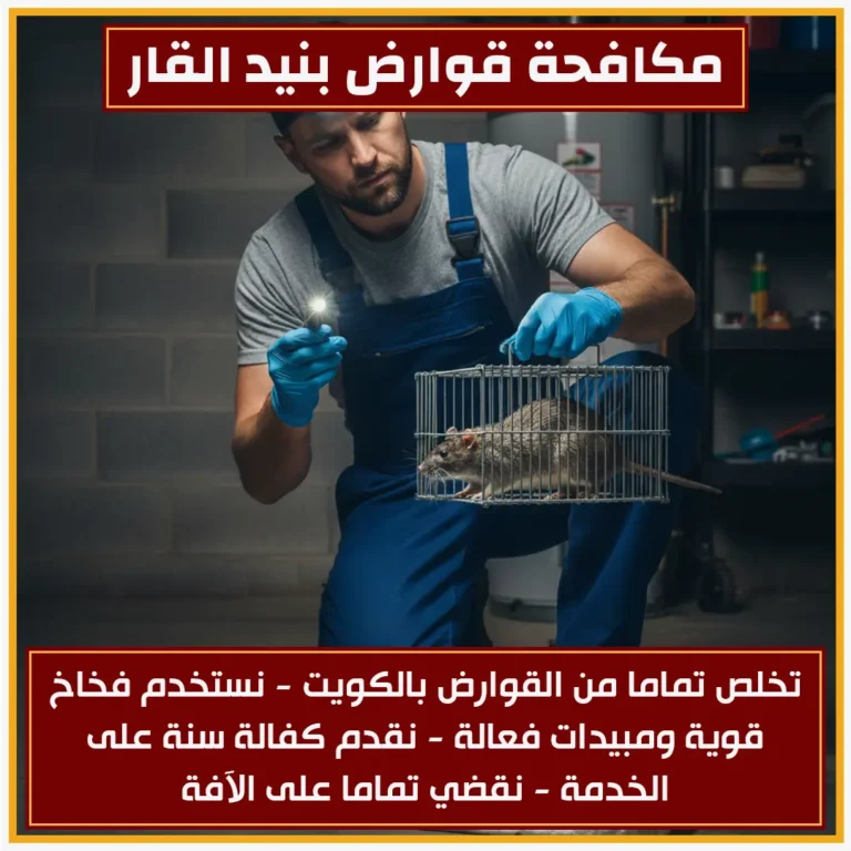 مكافحة قوارض بنيد القار