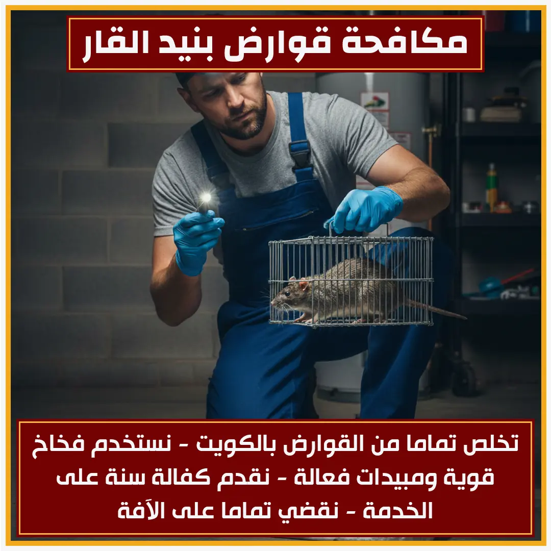 مكافحة قوارض بنيد القار